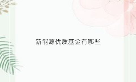 新能源优质基金有哪些