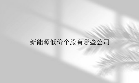 新能源低价个股有哪些公司