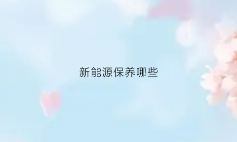 新能源保养哪些