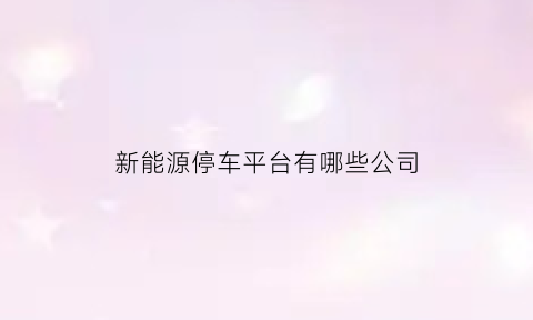 新能源停车平台有哪些公司