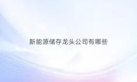 新能源储存龙头公司有哪些