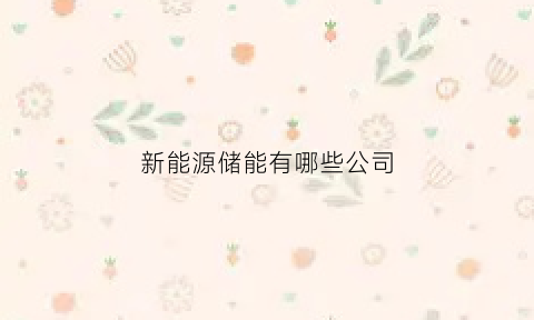 新能源储能有哪些公司