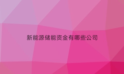 新能源储能资金有哪些公司