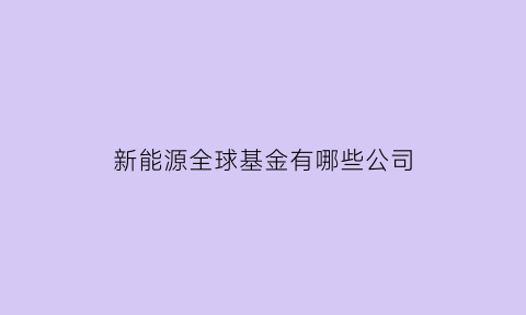 新能源全球基金有哪些公司(新能源基金投资公司排名)