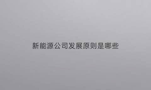 新能源公司发展原则是哪些