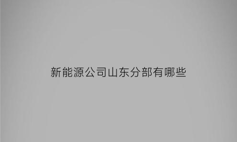 新能源公司山东分部有哪些