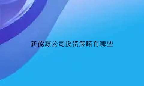 新能源公司投资策略有哪些