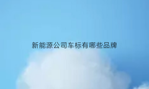 新能源公司车标有哪些品牌