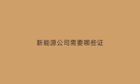 新能源公司需要哪些证(新能源公司好注册吗)