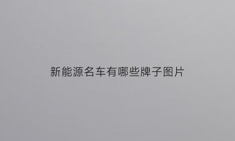 新能源名车有哪些牌子图片