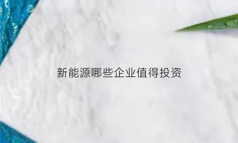 新能源哪些企业值得投资