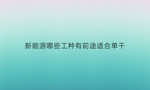 新能源哪些工种有前途适合单干