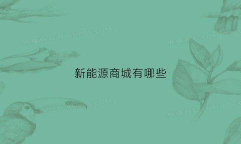 新能源商城有哪些