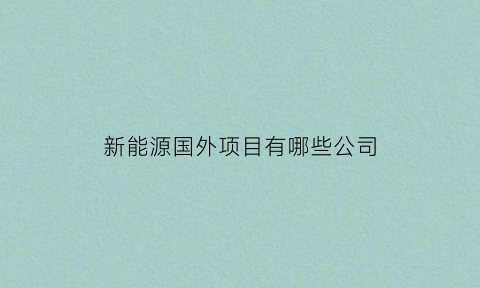 新能源国外项目有哪些公司(国外新能源产业政策)