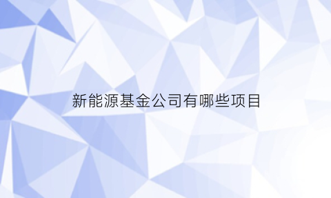 新能源基金公司有哪些项目