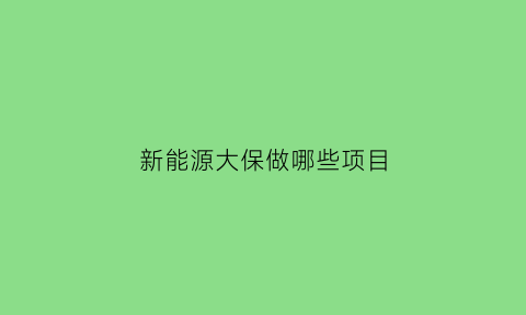 新能源大保做哪些项目