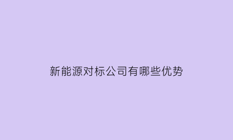 新能源对标公司有哪些优势