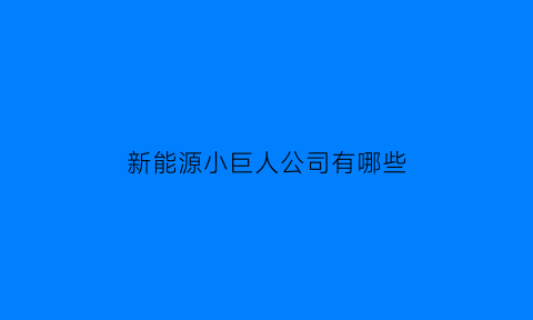 新能源小巨人公司有哪些