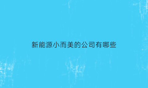 新能源小而美的公司有哪些