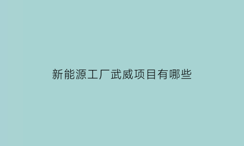 新能源工厂武威项目有哪些(武威新能源公司招聘)