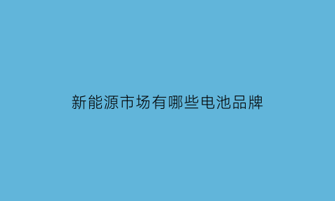 新能源市场有哪些电池品牌(新能源电池行业排名前十企业)