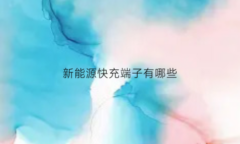 新能源快充端子有哪些