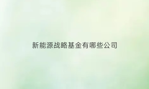 新能源战略基金有哪些公司