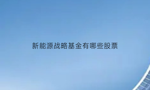 新能源战略基金有哪些股票