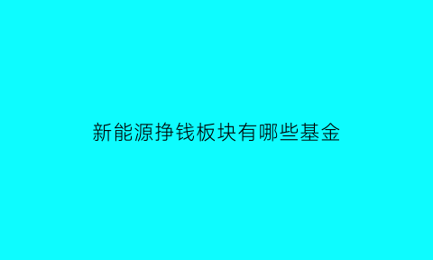 新能源挣钱板块有哪些基金(新能源挣钱板块有哪些基金呢)