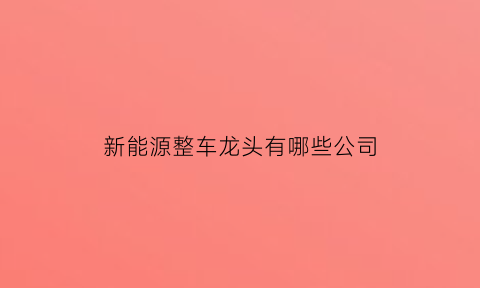 新能源整车龙头有哪些公司