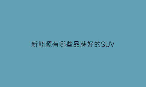 新能源有哪些品牌好的SUV(口碑最好的新能源suv)