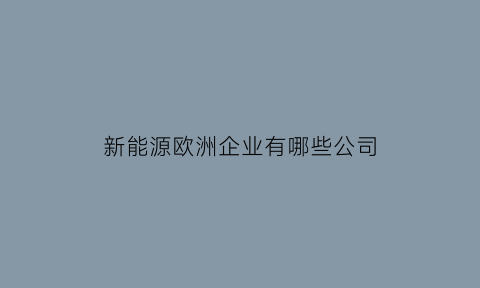 新能源欧洲企业有哪些公司(新能源欧洲企业有哪些公司招聘)