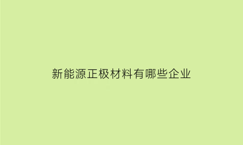 新能源正极材料有哪些企业