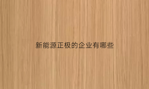 新能源正极的企业有哪些