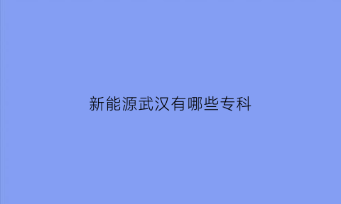 新能源武汉有哪些专科(武汉新能源技术装备研究院)