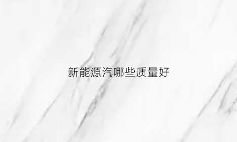 新能源汽哪些质量好