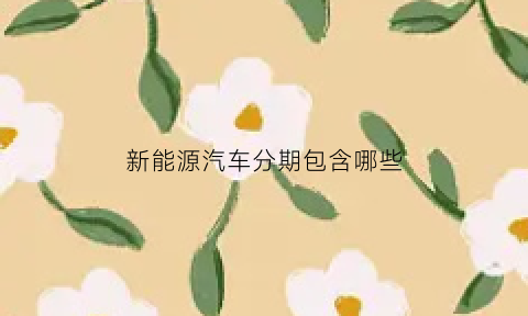 新能源汽车分期包含哪些