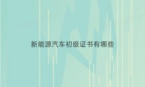 新能源汽车初级证书有哪些(新能源汽车技术初级考试视频)