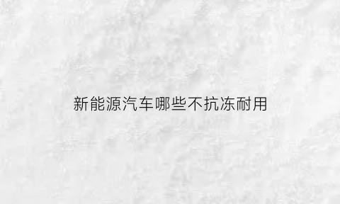 新能源汽车哪些不抗冻耐用