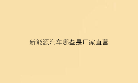 新能源汽车哪些是厂家直营