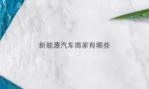 新能源汽车商家有哪些