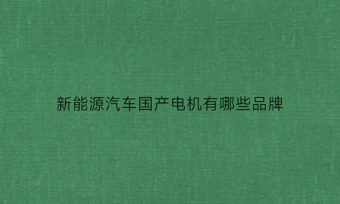 新能源汽车国产电机有哪些品牌(新能源车电机国内排名)