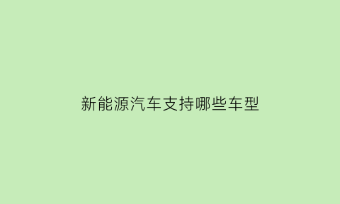 新能源汽车支持哪些车型