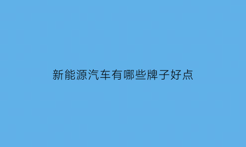 新能源汽车有哪些牌子好点(新能源汽车什么牌子好排名)