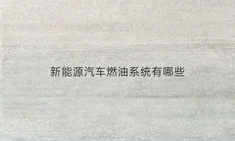 新能源汽车燃油系统有哪些(新能源汽车燃油系统有哪些品牌)