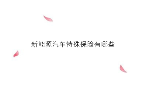 新能源汽车特殊保险有哪些