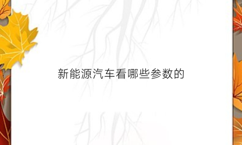 新能源汽车看哪些参数的(新能源汽车的参数标定)