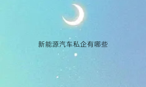 新能源汽车私企有哪些