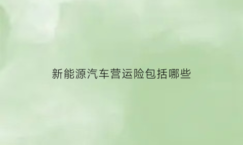 新能源汽车营运险包括哪些