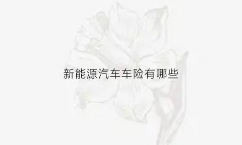 新能源汽车车险有哪些(新能源汽车车险有哪些险种)